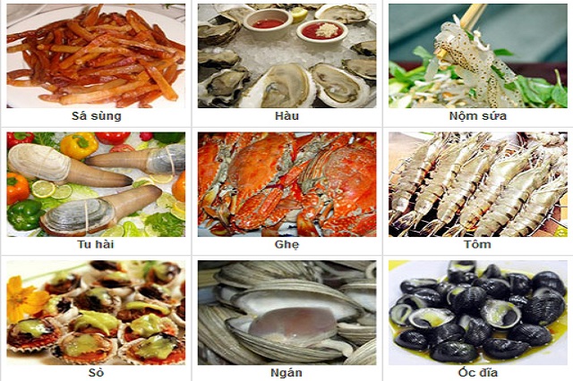 Hình 7: Những loại hải sản tươi ngon ở Vịnh Hạ Long