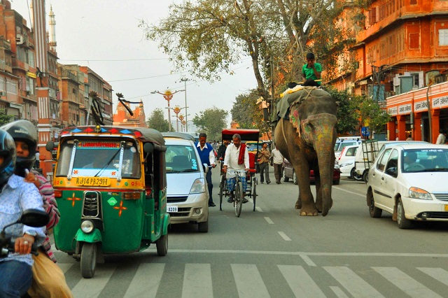 Đường phố Ấn Độ có khá nhiều phương tiện di chuyển