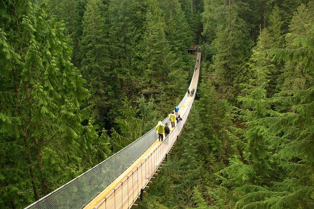 Đi cầu treo Capilano là một trong những trải nghiệm thú vị khi đi du lịch Vancouver