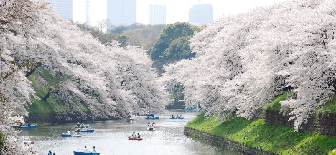 Khám phá những công viên đẹp nhất Tokyo