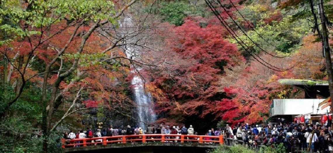 Những địa điểm tham quan lý tưởng khi du lịch Osaka Nhật Bản