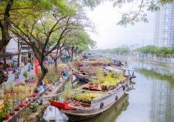 Gợi ý địa điểm sống ảo chất như nước cất tại Sài Gòn