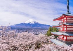 Chureito – ngôi chùa ngắm núi Phú Sĩ đẹp nhất Nhật Bản