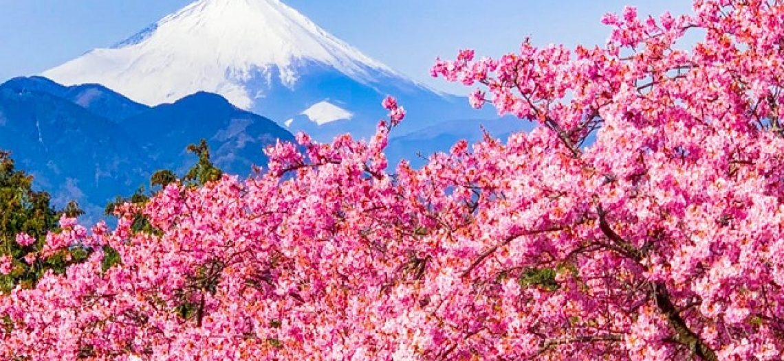 Chiêm ngưỡng 4 sắc thái cực phẩm của núi Phú Sỹ ở Nhật Bản