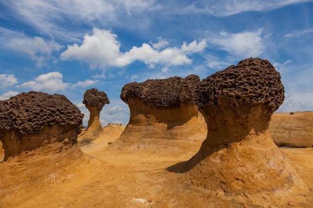 Cây nấm là hình thù đặc trưng của công viên địa chất Dã Liễu